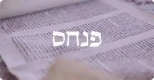 An open Torah scroll with the word Pinchas in Hebrew in the center