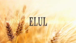 Elul written in English in a wheat field