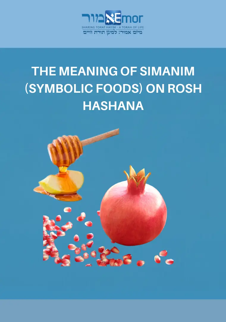 Guide to Simanim ( symbolic foods) on Rosh Hashana - Depicted an apple with honey and a pomegranate