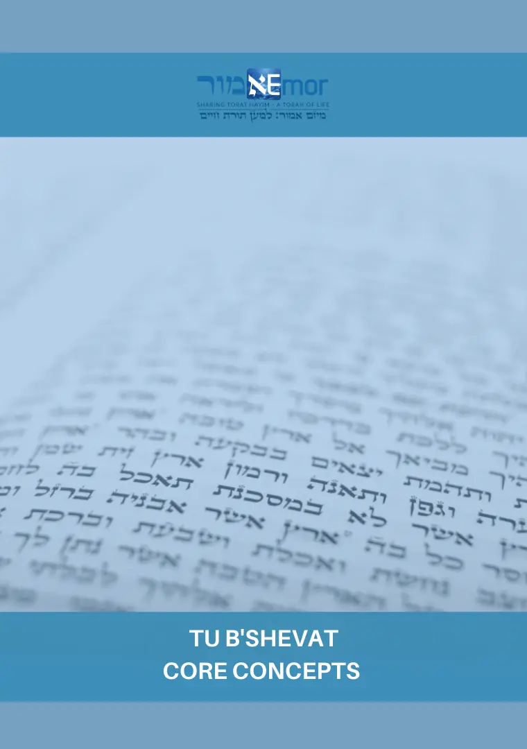 Image with Hebrew Texts taken from Torah Scroll