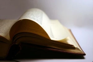 An open book in the light